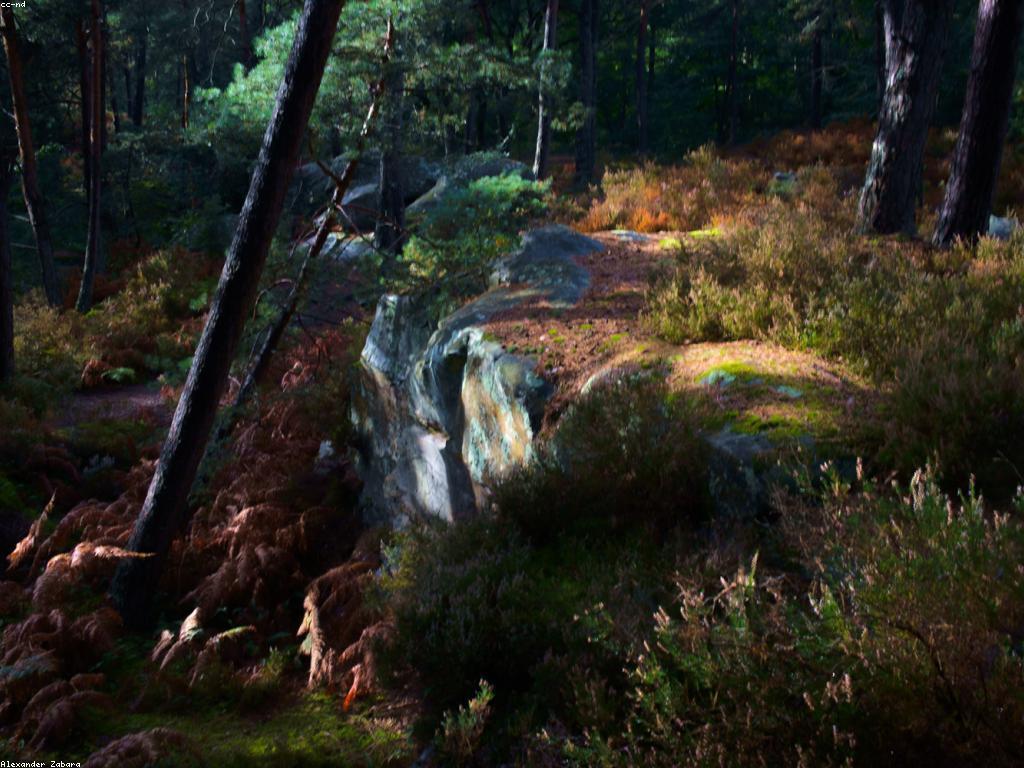 សារព័ត៌មានសម្ងាត់៖ ការចូលដំណើរការបច្ចេកវិទ្យាថ្មី