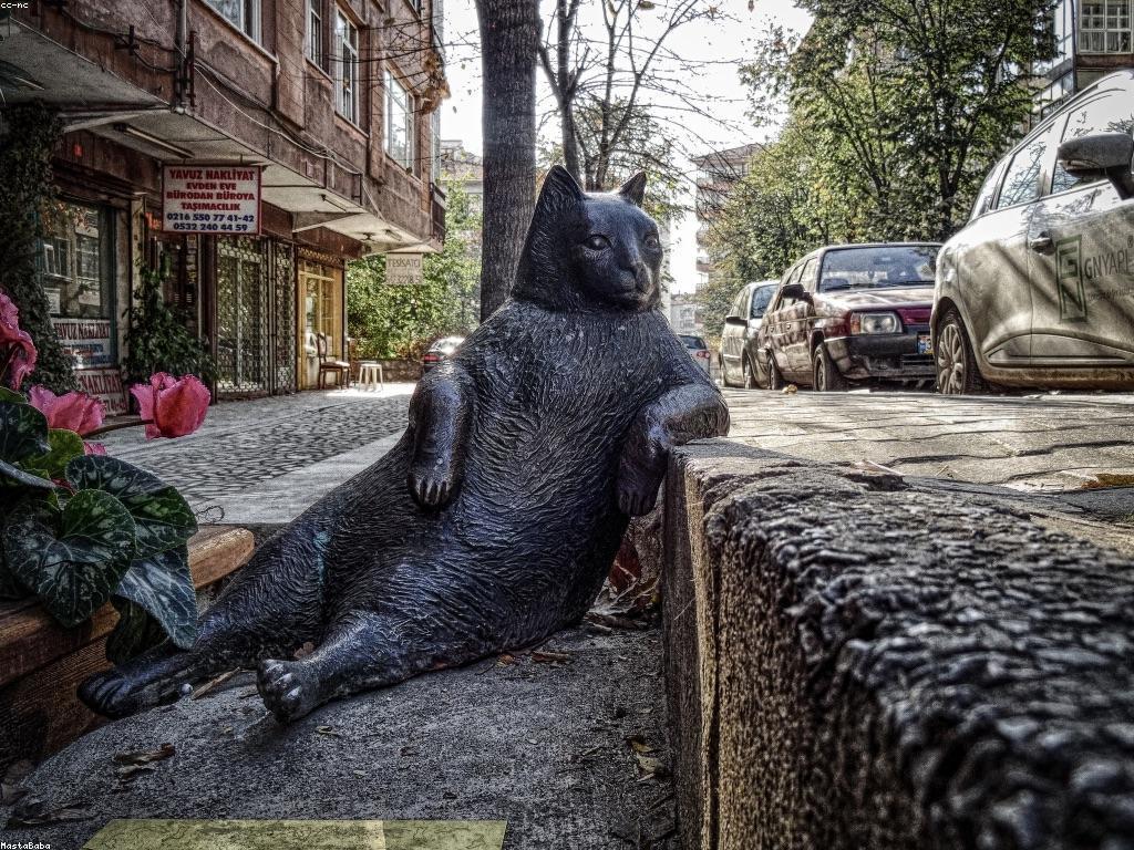 ព័ត៌មានថ្មីអំពីសុខភាព